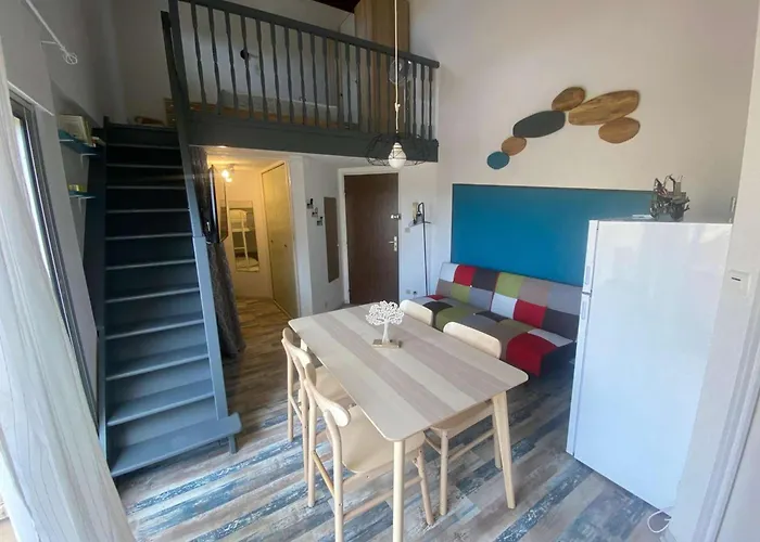 Apartment Mezzanine Renove Pour 4 Pers. Avec Terrasse Et Parking Prive - Animaux Admis - Fr-1-326-553 *